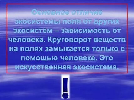 Круговорот искусственной экосистемы