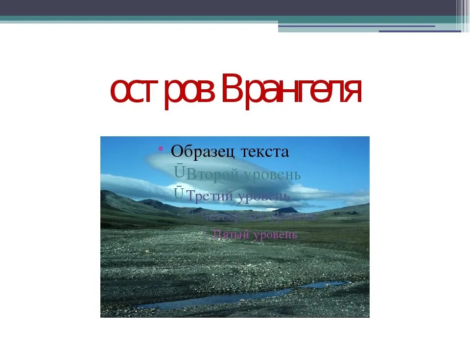 Как называется остров врангеля. Как называется остров врангеля
