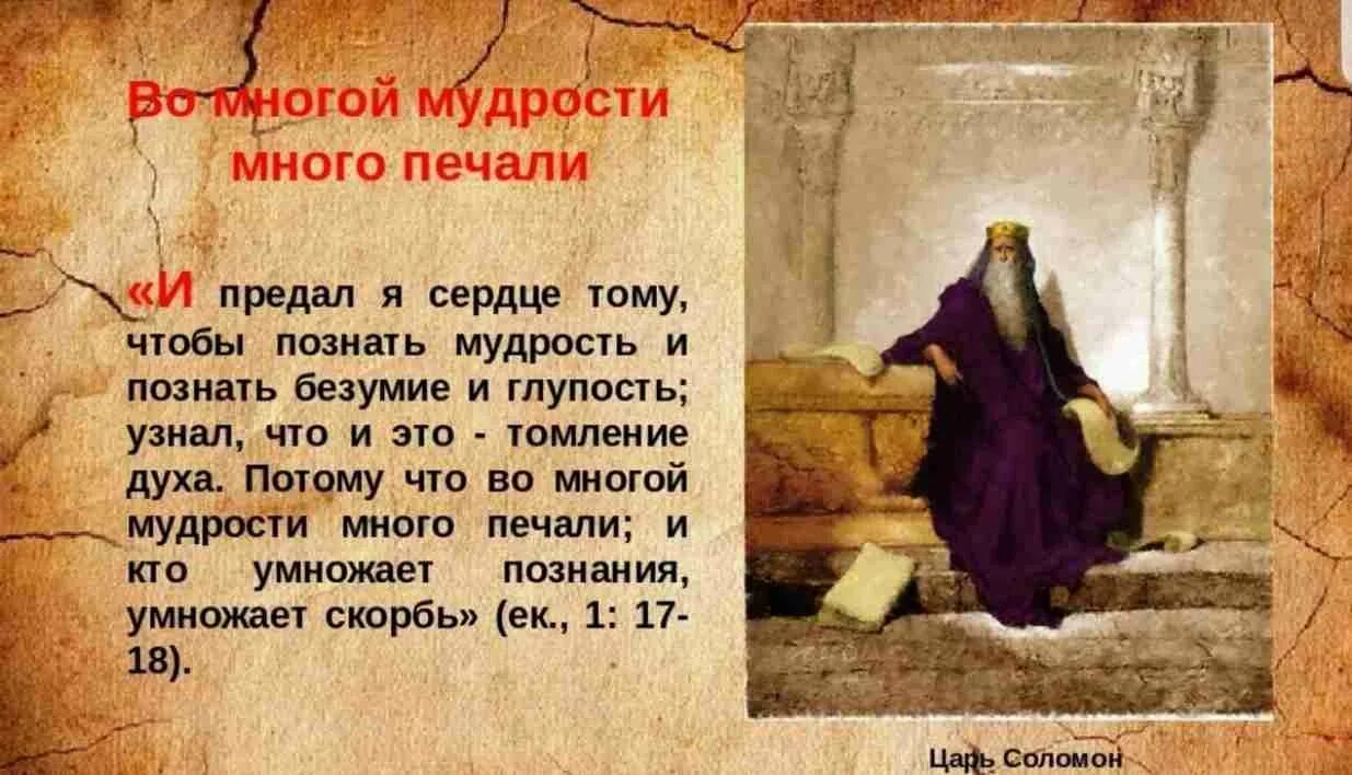 Во многой мудрости многие печали. Во многия мудрости многия печали. Многие знания умножают печали Экклезиаст. Мудрец Библия.