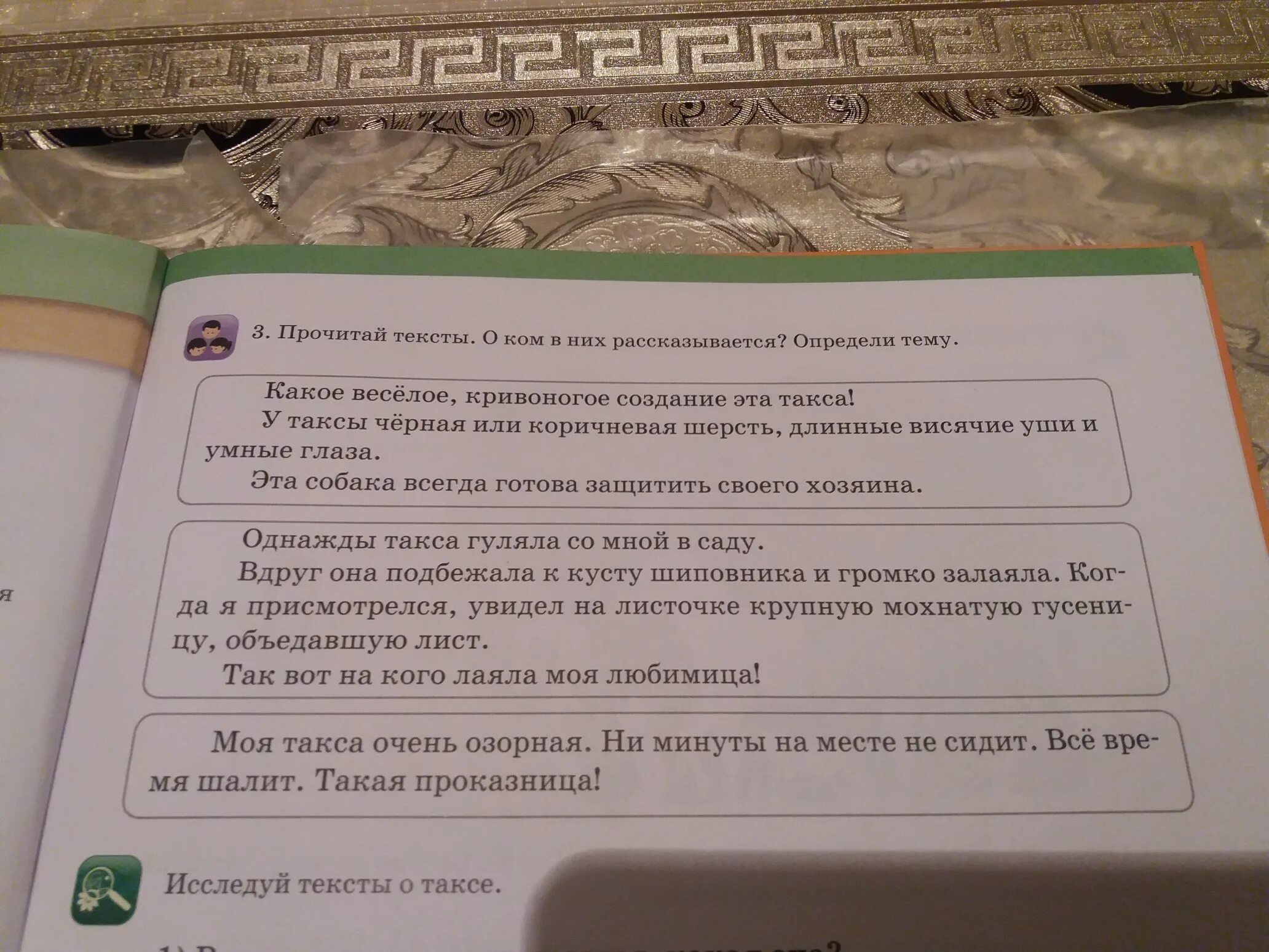 В предложенном тексте говорится. Прочитай текст определи тему текста. О ком рассказывается в тексте. Прочитай текст о чём говорится в тек. Прочитай текст о чём в нём рассказывается.