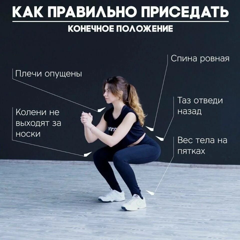 Приседает и не приседает. Ne prisedala записи. Ne prisedala записи. Полное приседание. Правильно приседать чтобы не болели колени.