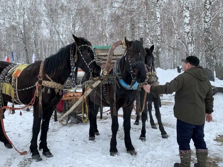 В голышманово на 10 дней точный. Голышманово. Голышманово достопримечательности. Достопримечательности Голышмановского района. Голышманово Тюмень.