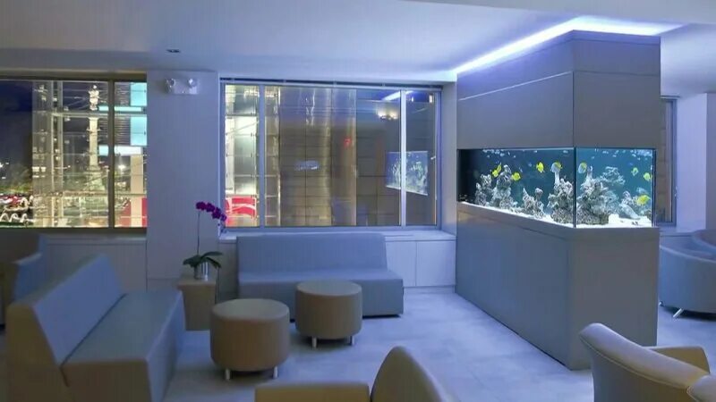 hotel room with aquarium wall Buy-50