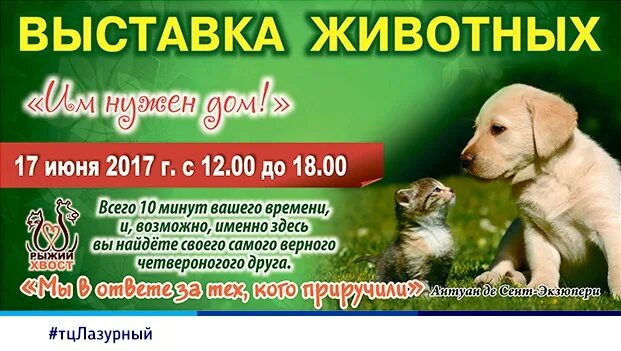 Выставка животных новомосковск. Выставка животных тамбов. Выставка животных чебоксары. Цирк попугаи афиша выставка животных. Выставки животных в энгельсе.