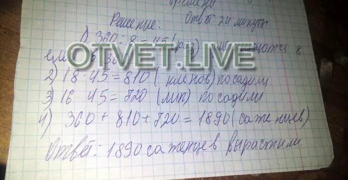 В питомнике вырастили 360. В питомнике вырастили саженцы деревьев елей. В питомнике вырастили саженцы деревьев елей было 360. Реши задачу в питомнике вырастили саженцы деревьев. В питомнике вырастили саженцы деревьев елей было 360 а на каждые 8 елей.