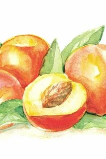 Фрукты нарисованные акварелью