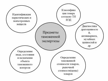 Курсовая экспертиза