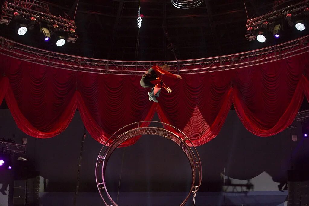 Цирковое представляет. Цирковое представляет. На арене цирка. Цирковое представляет. Цирк для детей.
