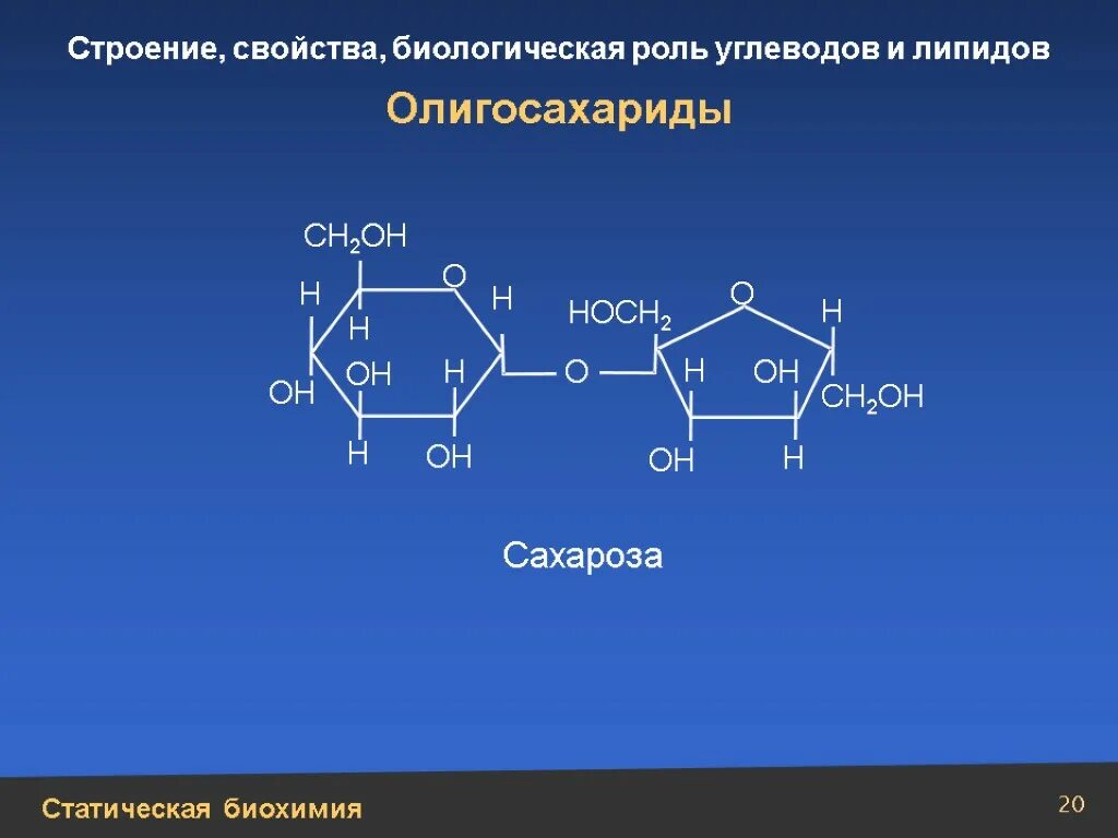 Сахароза биологическая роль. Биологическая роль сахарозы биохимия. Сахароза биохимия строение. Сахароза формула биохимия. Олигосахариды сахароза.