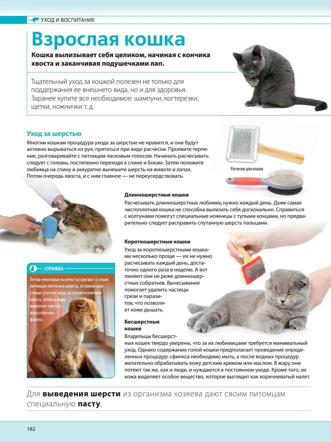 Что давать кошке от шерсти