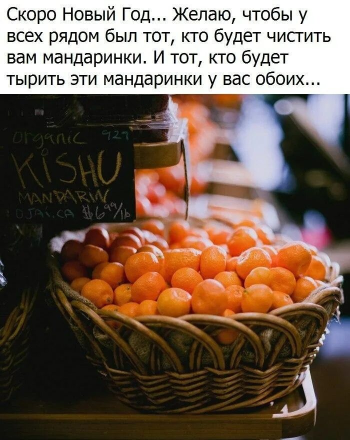 Мандарины шампус надо доставать поднимайтесь. Мандариновое настроение. мандарины с пожеланиями. мандариновое настроение цитаты. открытка с мандаринами.
