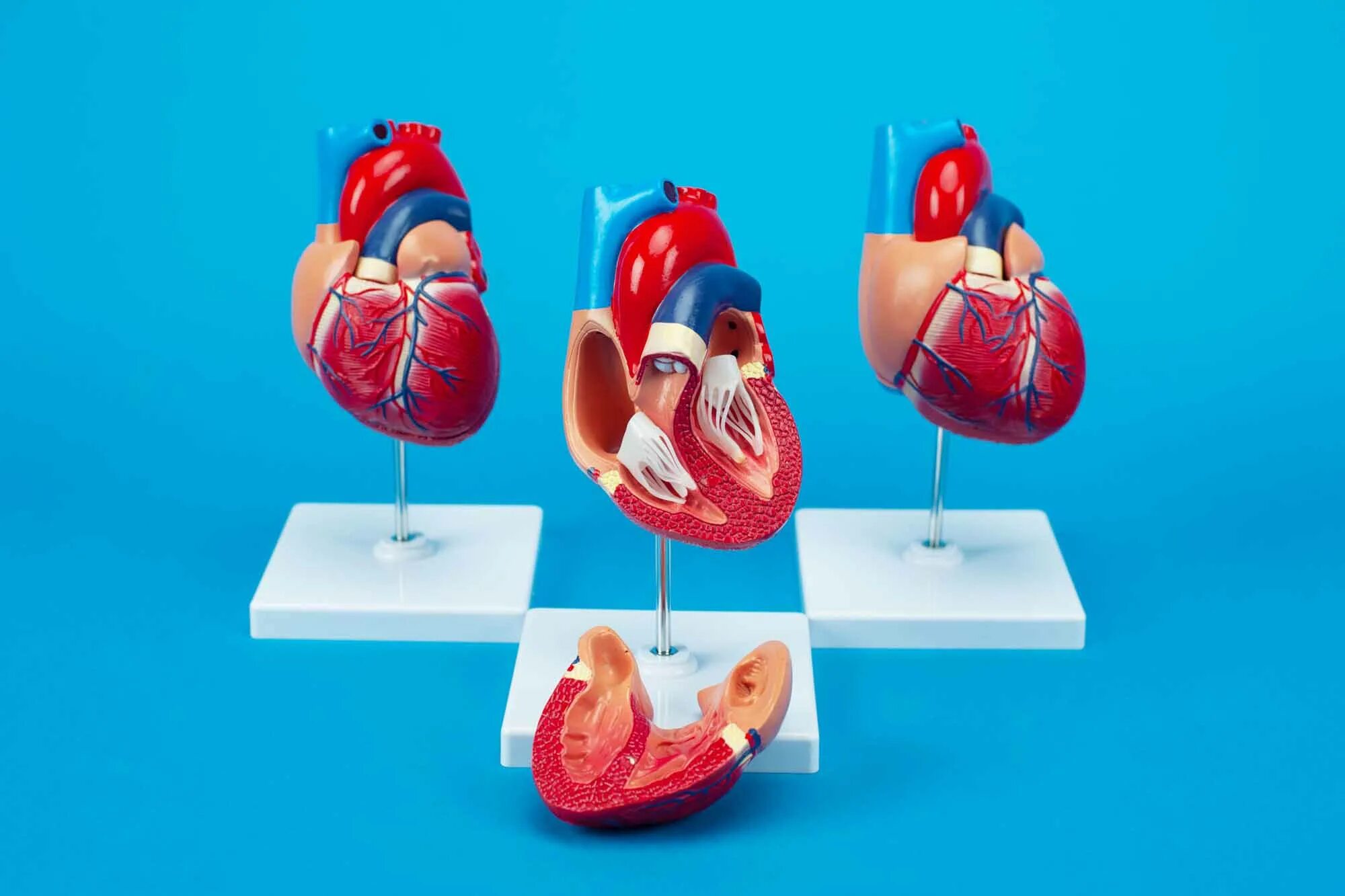 Музей здоровья в москве. Музей здоровья моховая 17. Музей здоровья санкт-петербург моховая 17. Интерактивный музей здоровья в спб. Музей здоровья санкт петербург.