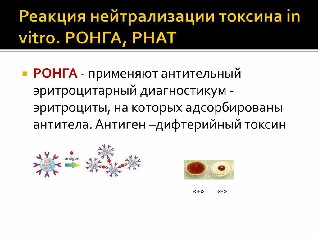 Токсины антигены. РНАТ серологическая реакция. Серологические методы реакция нейтрализации. Реакция обратной непрямой гемагглютинации. Реакция нейтрализации токсина.