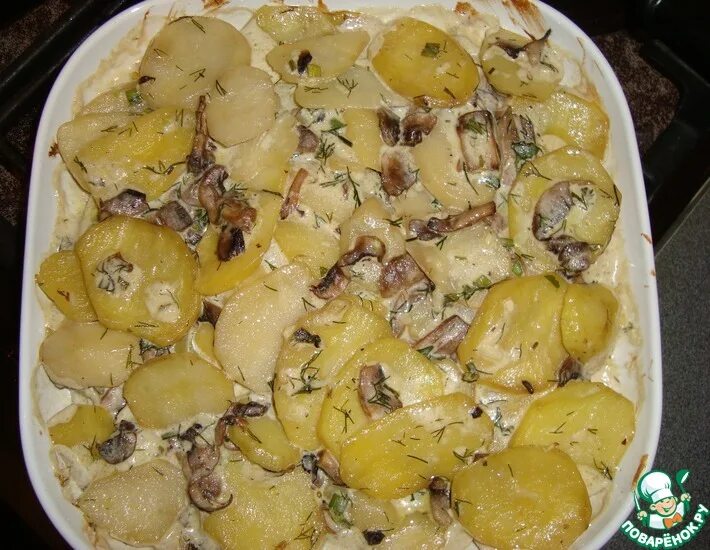 Картошка с грибами со сливками на сковороде. Грибы в сметанном соусе с картофелем. Картошка с грибами со сливками на сковороде. Картошка с грибами и слив. Картошка с грибами и курицей на сковороде со сметаной.