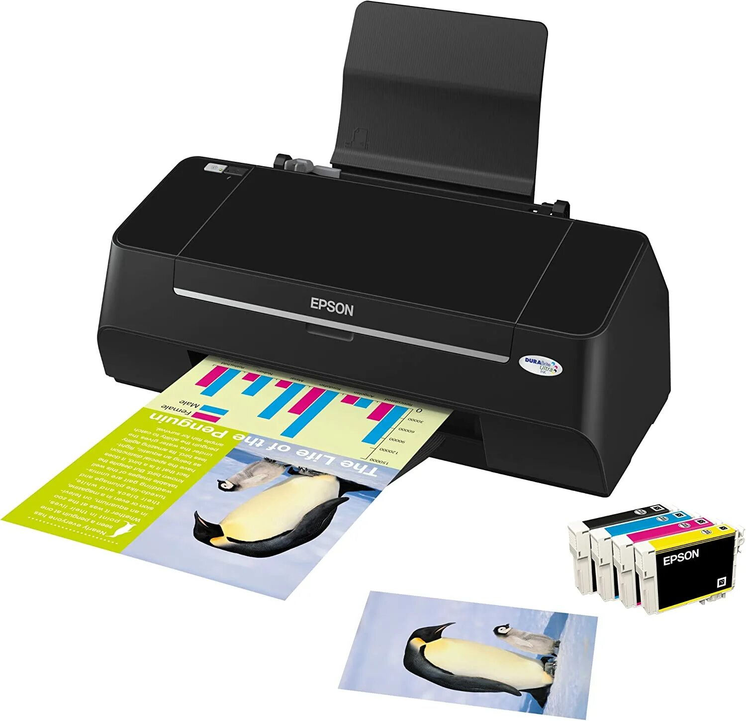 Как использовать цветной принтер. Epson stylus t27. epson stylus тx410, цветн., a4. epson s22 принтер. epson stylus тx210, цветн., a4.