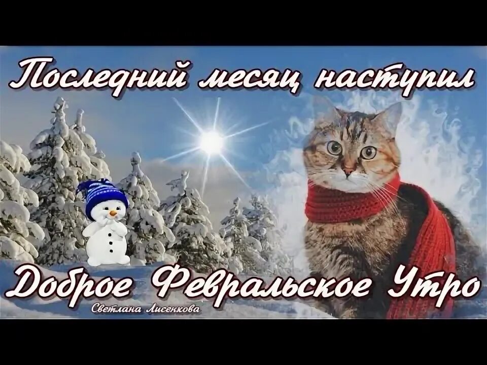 С добрым февральским зимним
