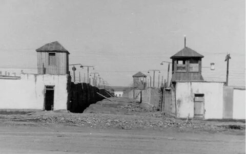 Репрессии 1950