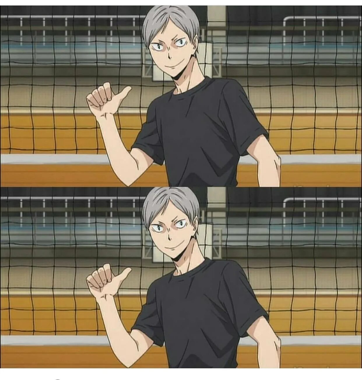 Львы про волейбол. Лев хайба. алиса хайба волейбол. лев хайба скрины.