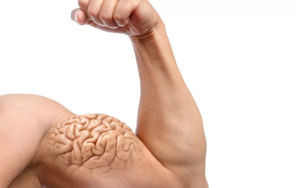 Muscle memory