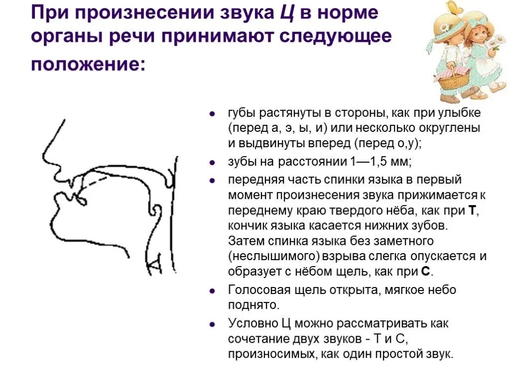 Характеристика артикуляции. Артикуляционный профиль свистящих звуков. Профили артикуляции свистящих звуков ц. Правильная артикуляция звука ц. Профили артикуляции свистящих звуков рисунок.