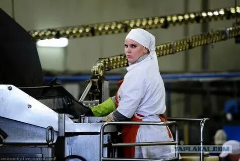 Рыбокомбинат донской