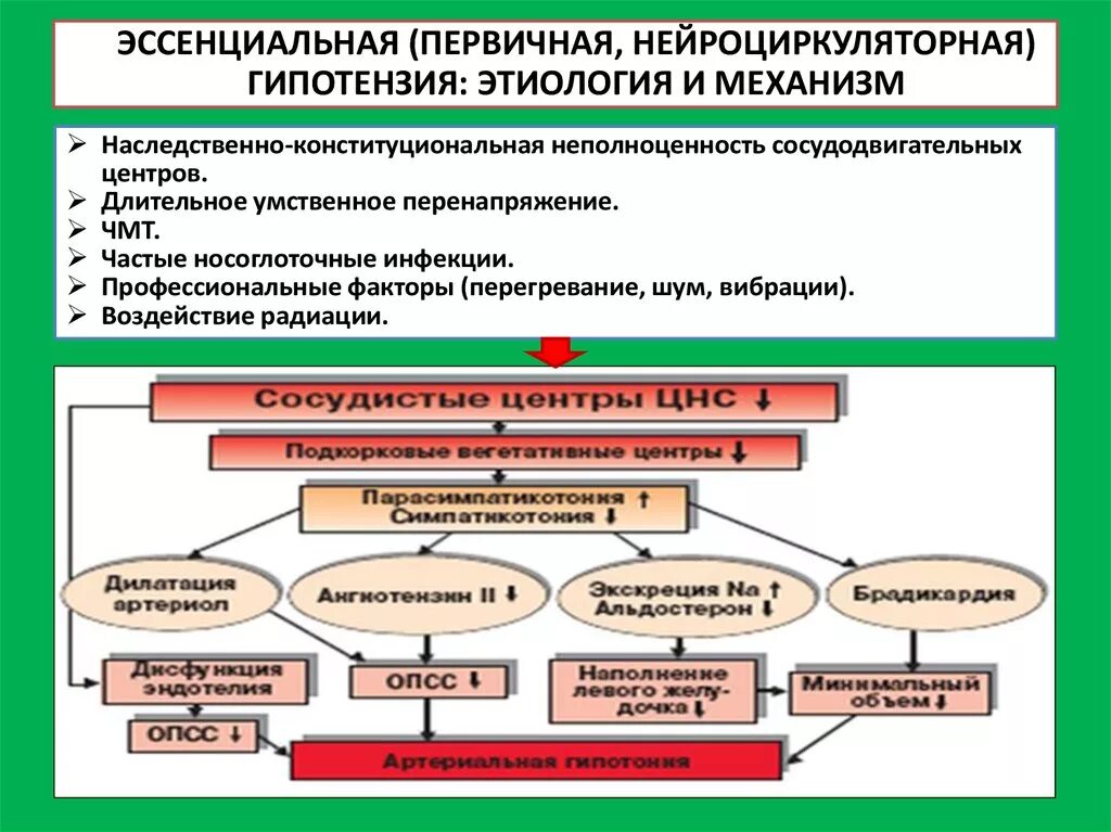 Артериальная гипотония патогенез. Механизм развития артериальной гипотензии. Хроническая артериальная гипотензия этиология и патогенез. Первичная артериальная гипотензия патогенез. Развитие гипотонии