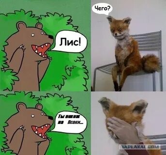 Картинка мем лис