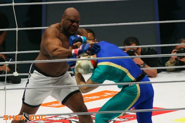 Боб саб. Боб сапп реслинг. боб сапп форма. bob sapp vs. рекорд боев боба снаба.