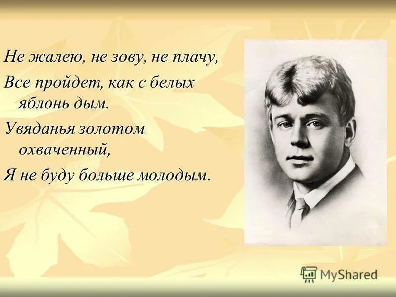 Есенин стих не жалею зову плачу. Не жалею, не зову, не плачу. есенин все пройдет как с белых яблонь дым. «не жалею, не зову, не полчу.. есенин не жалею не зову.