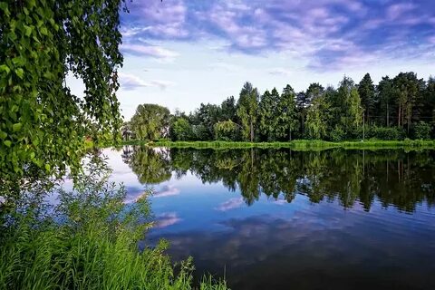 Минчистоты московская область