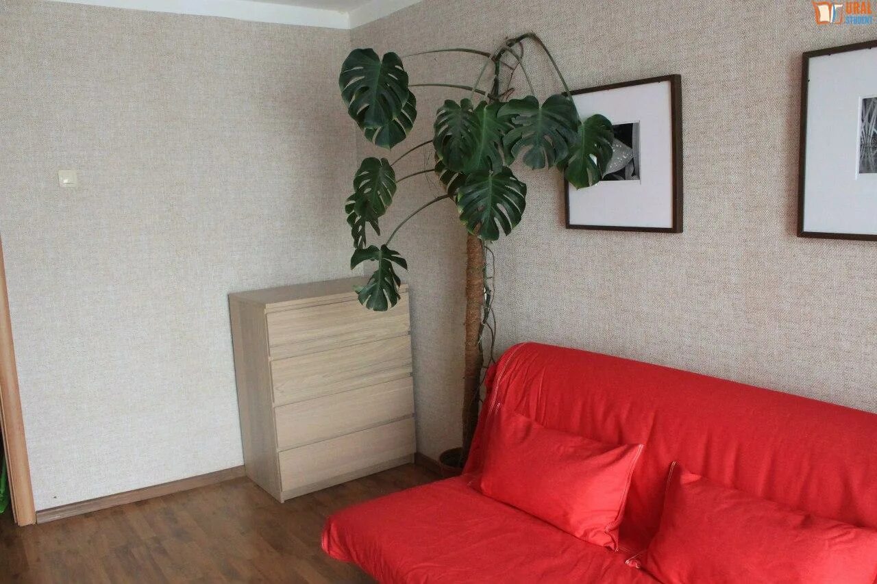 сниму квартиру в березовском без