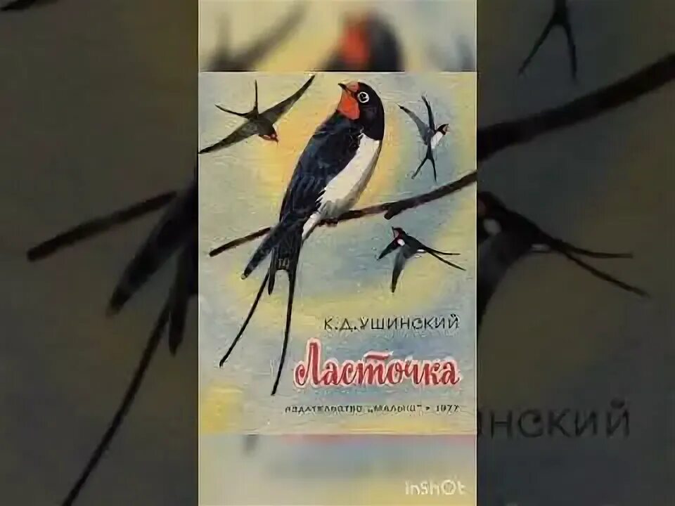 Богомолов ласточки читать. Ушинский Ласточка. Ласточка Ушинский читать. К Д Ушинский Ласточка. Ушинский Ласточка книга.