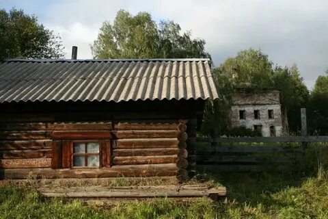 Редикор