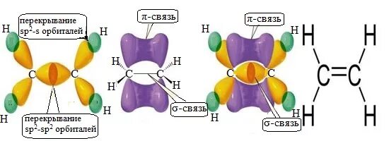 Сигма связи в молекуле этена. Двойная связь гибридизация. Сигма связи в органической химии. Строение молекулы этилена.