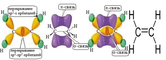 Этилен гибридизация углерода. Сигма связи в молекуле этена. Двойная связь гибридизация. Сигма связи в органической химии. Строение молекулы этилена.