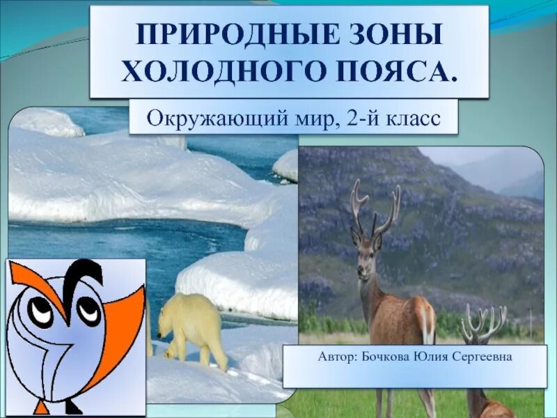 Выберите самую холодную природную зону. Природные зоны холодного пояса. Животные холодного пояса. Природные зоны холодного пояса 2 класс. Холодный пояс.