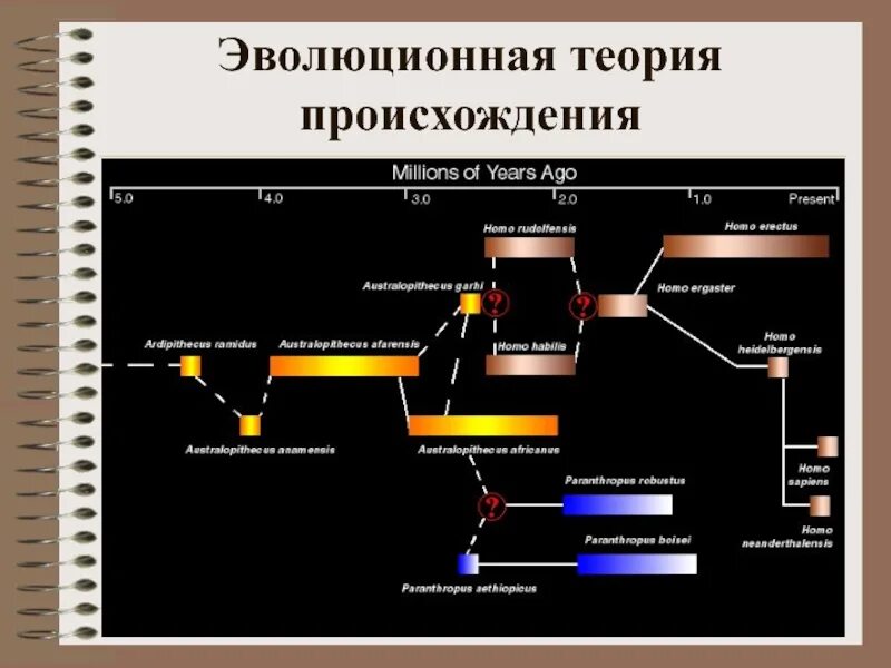 Возникновение эволюционной теории