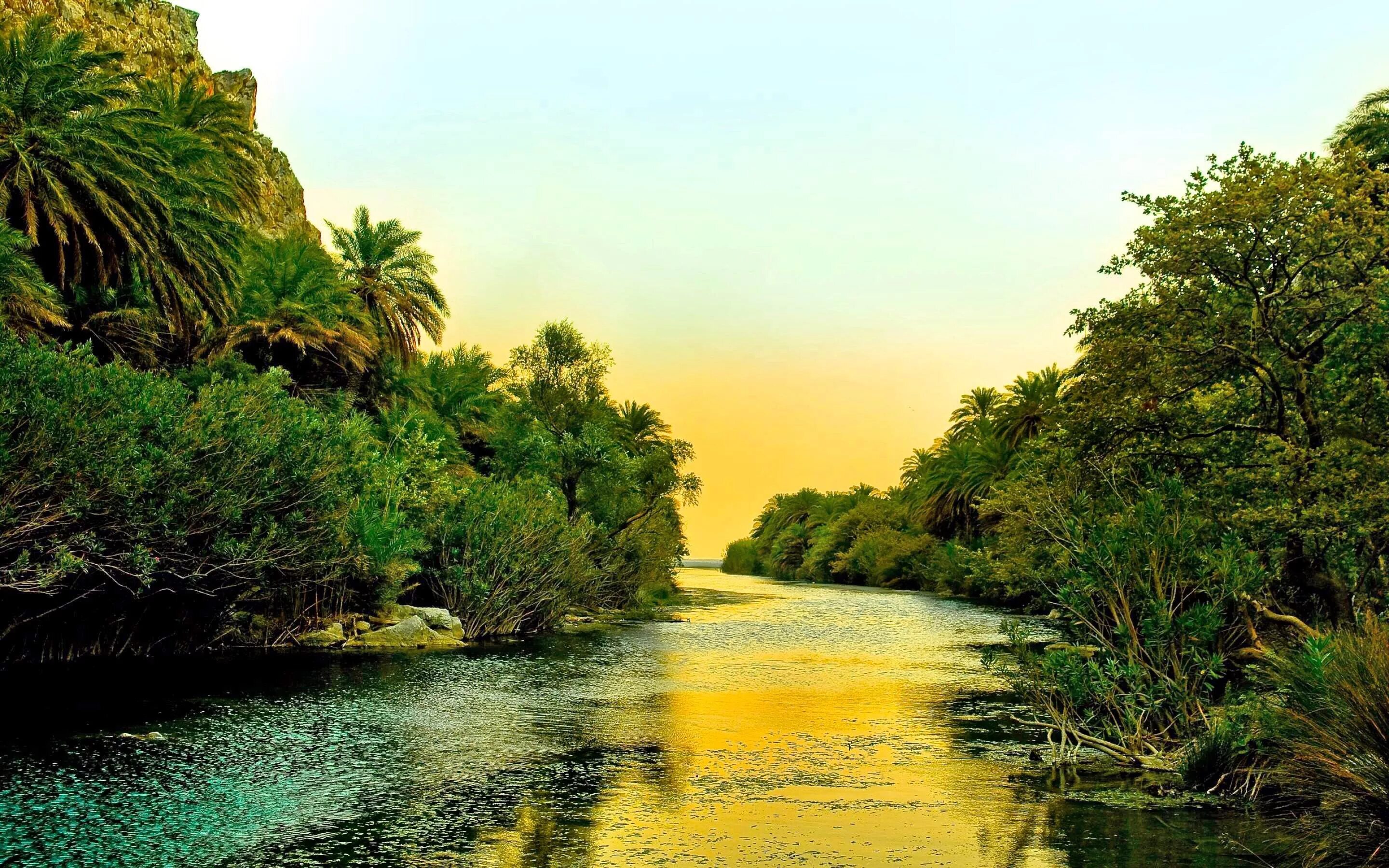Jungle river