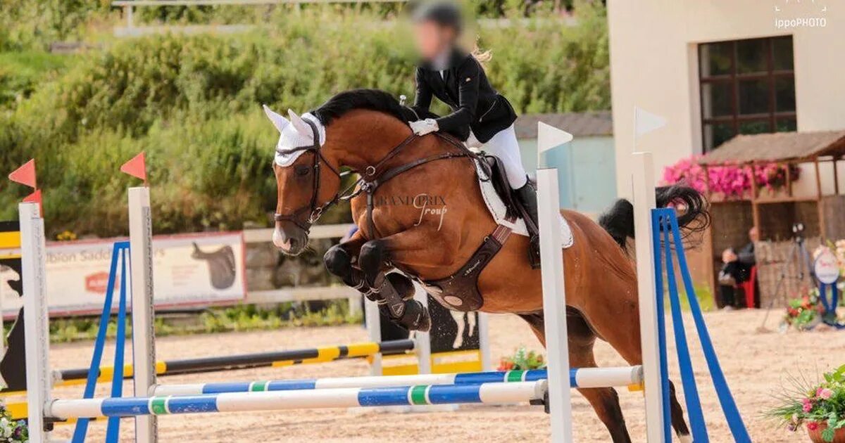 Кск аренда. Конюшня верхнениколаевское. Мерин прайд 2008 г. Школа 109 москва кони. Конюшня хлопово.