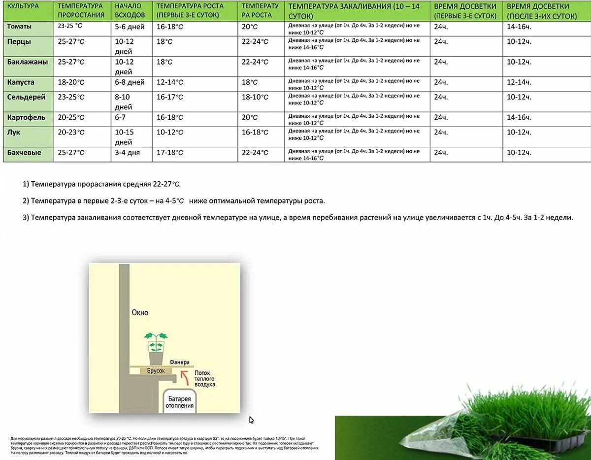 Какая температура должна быть для перца. Нормы освещенности для растений в теплице. Таблица освещения рассады. Температура в теплице для растений таблица. Уровень освещения для рассады таблица.