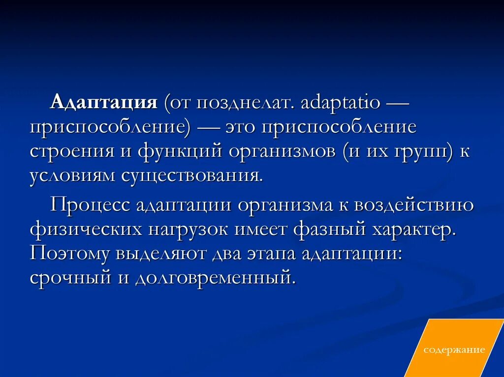 Функции общества адаптация. Функции адаптации. фазы адаптации организма к физическим нагрузкам. адаптация в спорте. адаптационная функция.