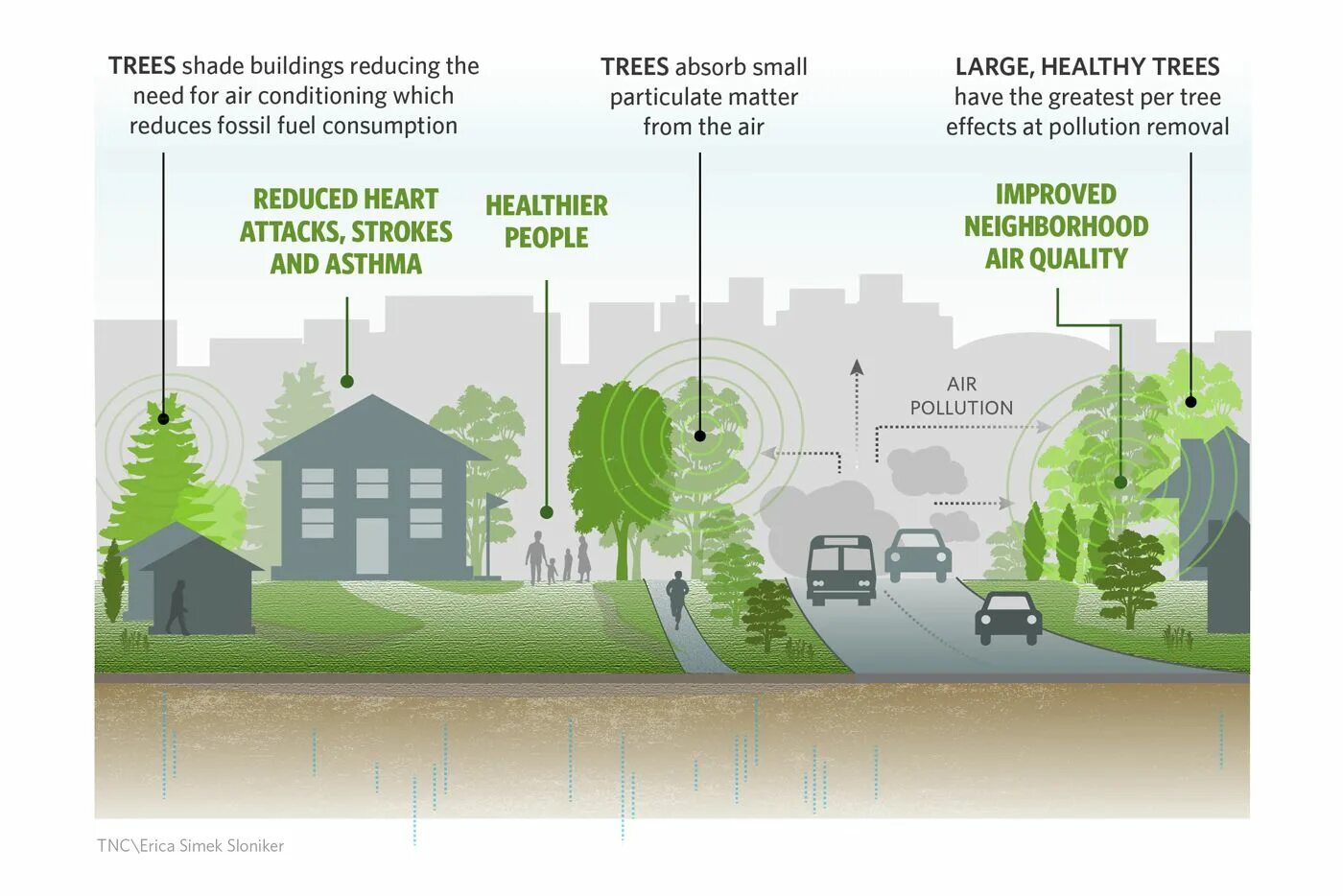 Эффекты Air pollution. Reduce Air pollution. Air pollution in the Cities. Trees and Air pollution.