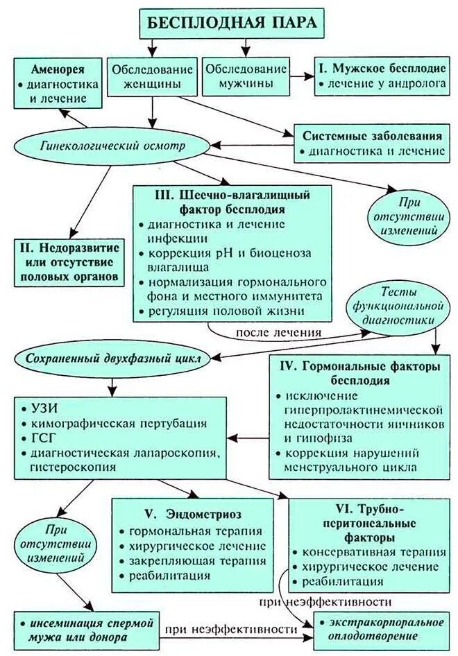 Причины вторичного бесплодия. Алгоритм диагностики бесплодия. Бесплодие схема. Причины женского бесплодия схема. Симптомы бесплодия у мужчин