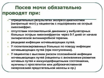 Что такое посев мочи при беременности
