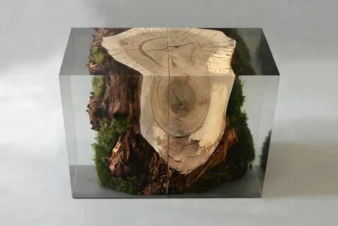 Самомоделирующаяся смола