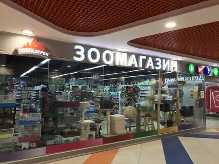 Зоогалерея адрес