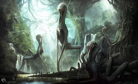 Scp 2256
