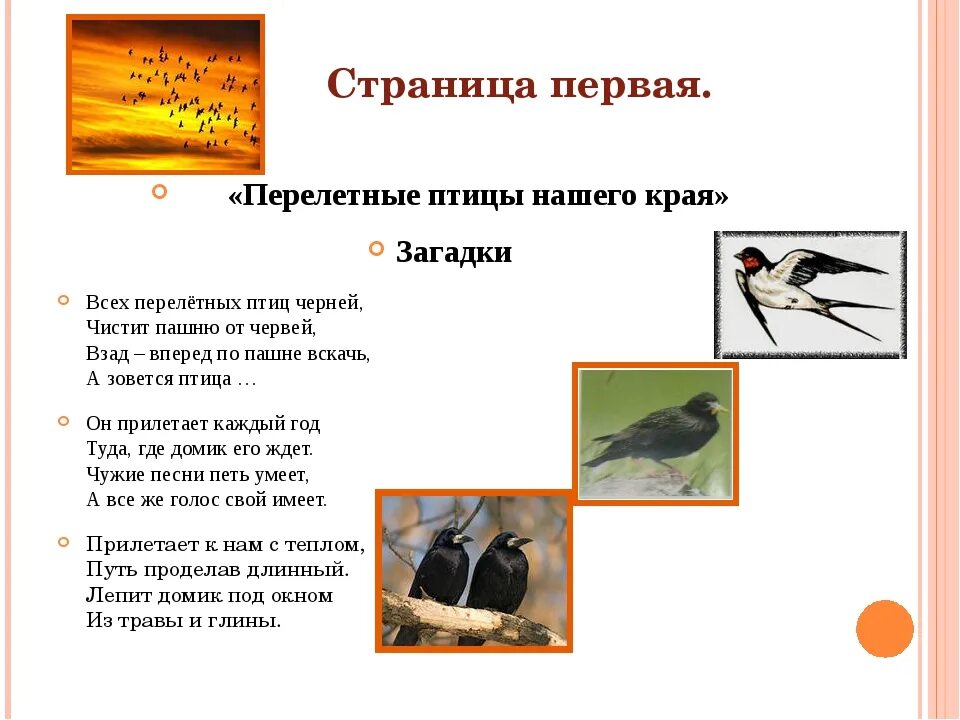 Загадки про птиц 4 лет. Загадки о весенних перелетных птицах. Загадка про перелетных птиц для детей 5-6. Загадки про перелетных птиц. Стихи и загадки о птицах.