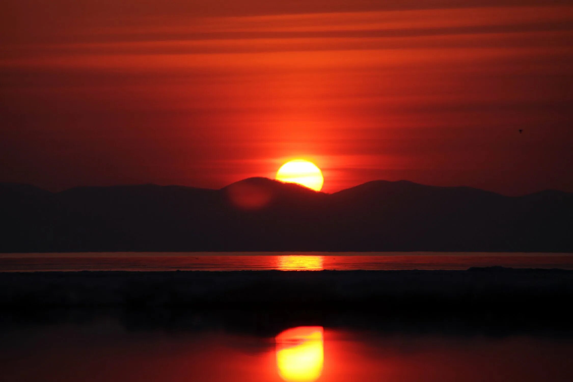 Су 24 ночью. Кровавый закат фото. 01 2024. Закат 20. Кровавый закат в египте.