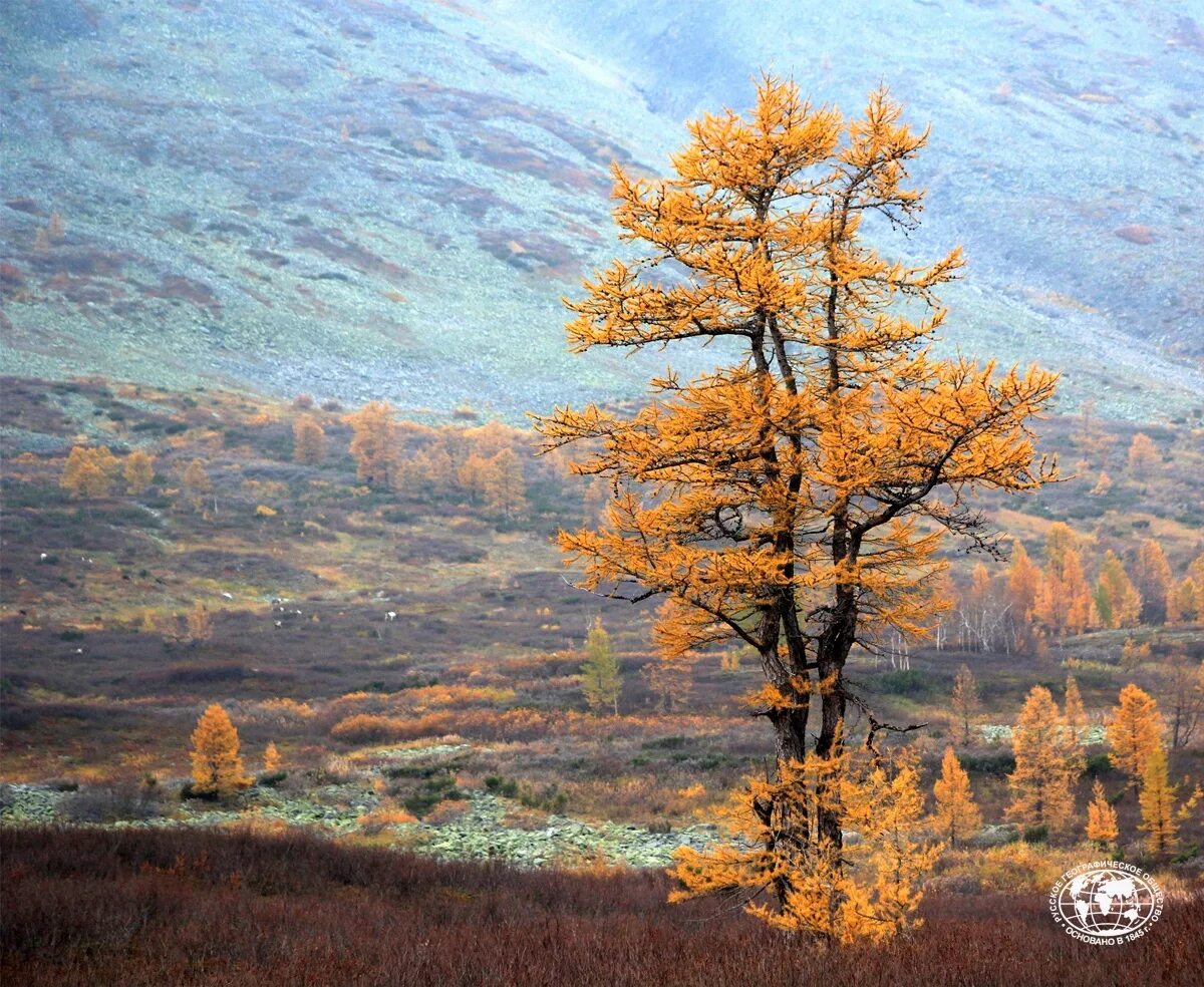 Россия в фотографиях русское географическое. Самая красивая Страна фотоконкурс. Географическое общество фотоконкурс. Русское географическое общество картинки. Самая красивая Страна РГО.